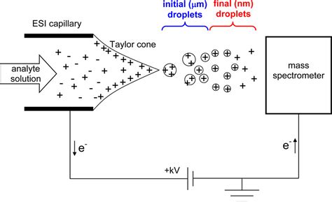 electron e rodriguez|Unraveling the Mechanism of Electrospray Ionization.